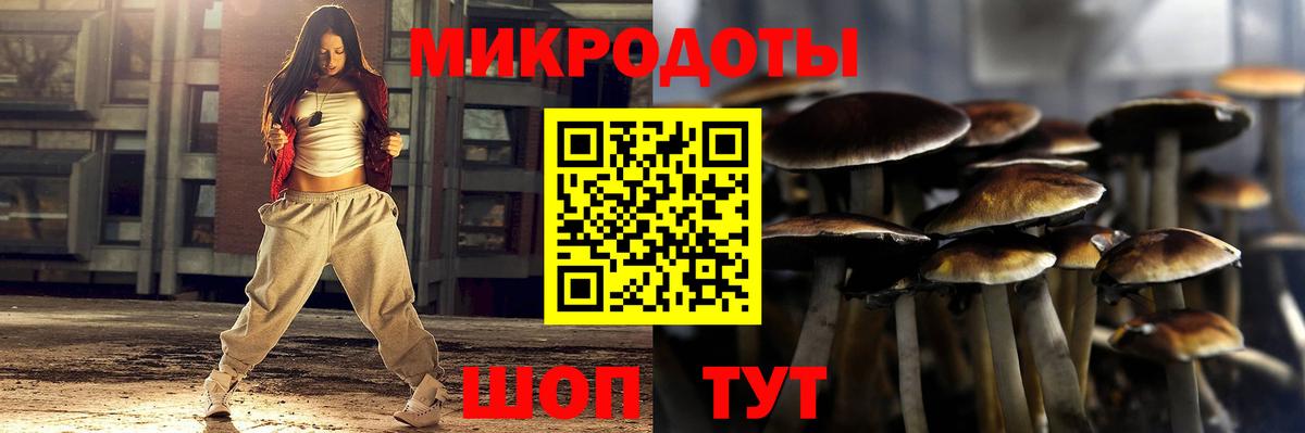 Галлюциногенные грибы Psilocybine cubensis  наркотики  Ухта  Вход с VPN 